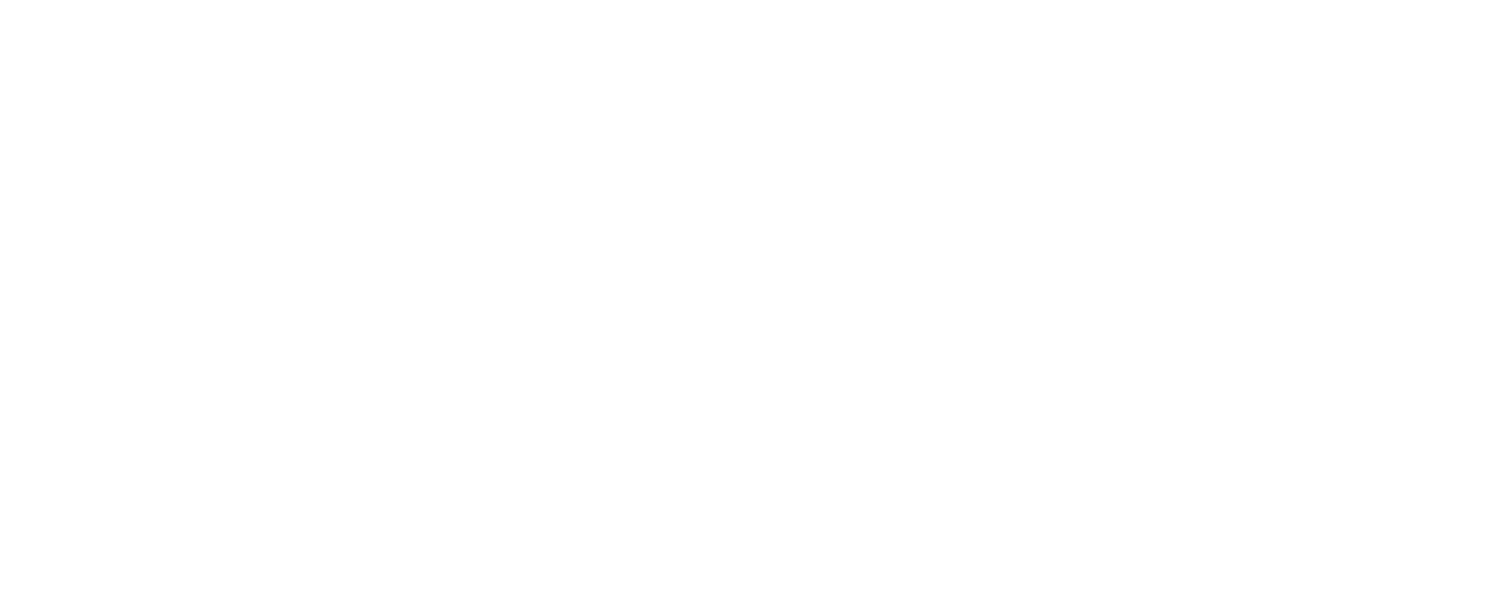 Les Allumés